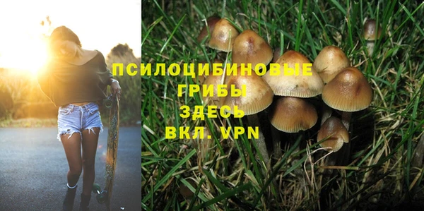 гидра Волосово
