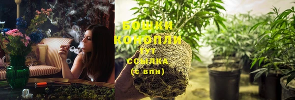 гидра Волосово